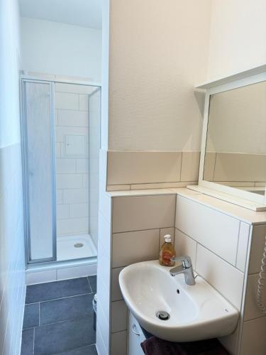 Pension Dresdener Berge - image 6