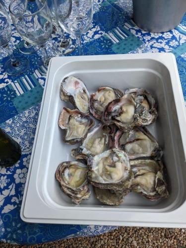 Ételek és italok, Tornyntjie Beach House in Boggomsbaai