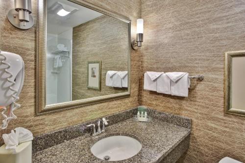 Holiday Inn Detroit Metro Airport by IHG in Romulus, USA
