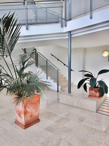 ApartSur 2