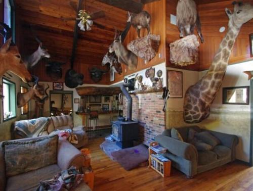 Whitebird Summit BNB in Vaitbirda (ID)
