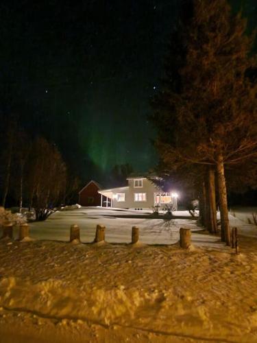 Arctic Cabin Lyngen