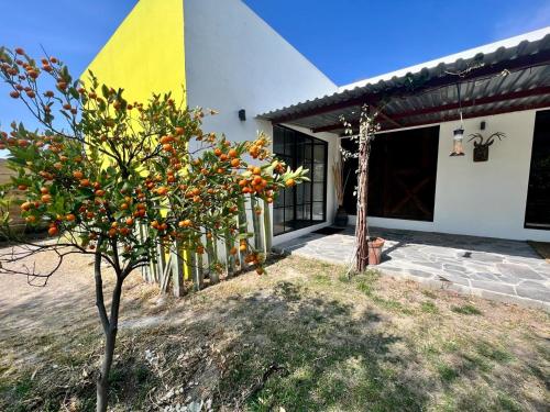 Mesquite Tree Retreat in San Miguel de Allende, Mexico