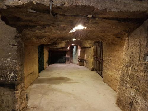 Château Fleur de Roques - image 3