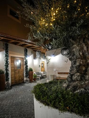 設施, Drì bed & breakfast (Dri bed & breakfast) in 羅卡迪帕帕