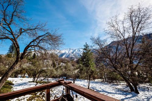 Hygge Haus Sequoia - Large Private Cabin w Views