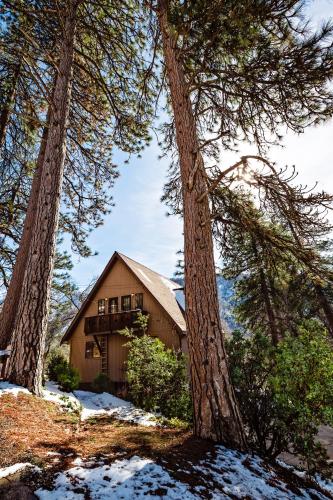 Hygge Haus Sequoia - Large Private Cabin w Views