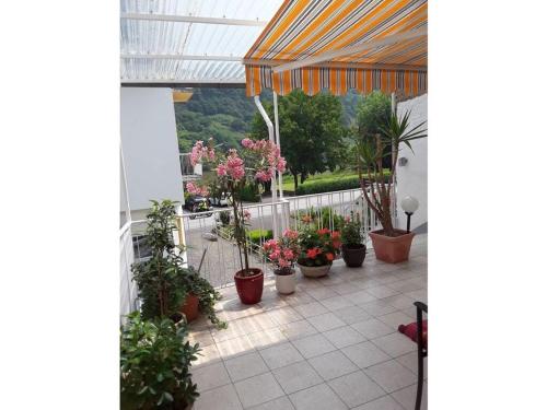 設施, Holiday apartment Lenz in 克羅夫