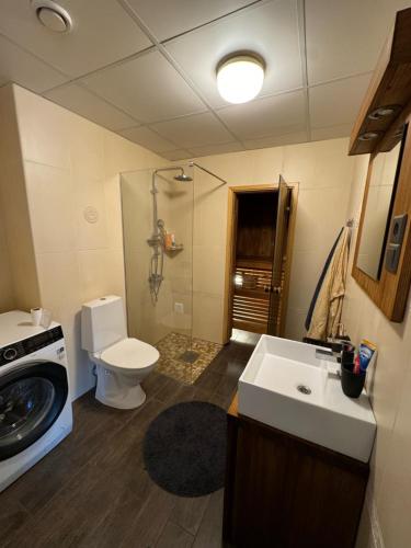 Beautiful apartment with sauna, Tallinn (photo 4)