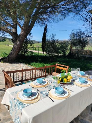 . Casa Celia
