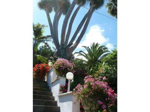 Casa Martin on the Finca Angel