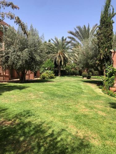 Les Jardins de la Palmeraie - image 12