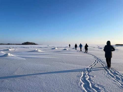 Romantiline saunamaja Padaste lahe aares in Padaste