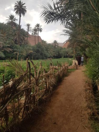 Palm Valle guest house B&B Palm Valle guest house B&B