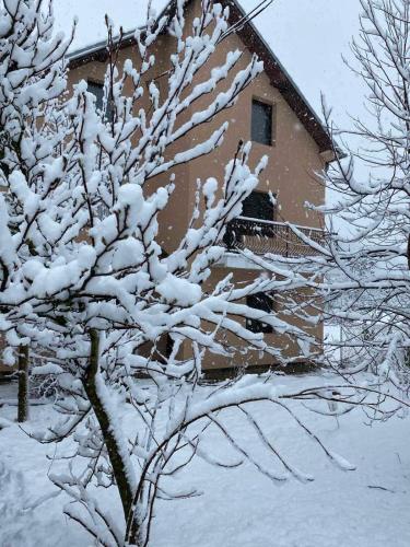 . Apartmani Vlaška