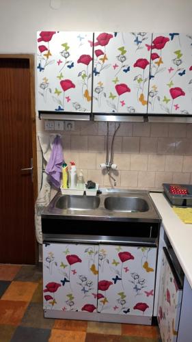 Apartmani Vlaška (Apartmani Vlaska) in Vlaška
