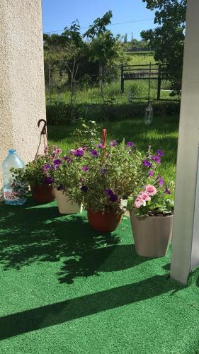 Изглед, Apartmani Vlaška (Apartmani Vlaska) in Vlaška