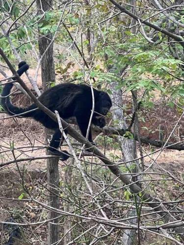 Hospedaje Privado La Conga Playa Potrero