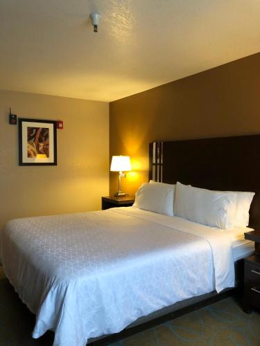 Holiday Inn Express Winnemucca an IHG Hotel - image 14