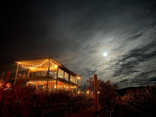 Pub/Lounge, Don Tomas Viñedo cabañas (Don Tomas Vinedo cabanas) in San Marcos