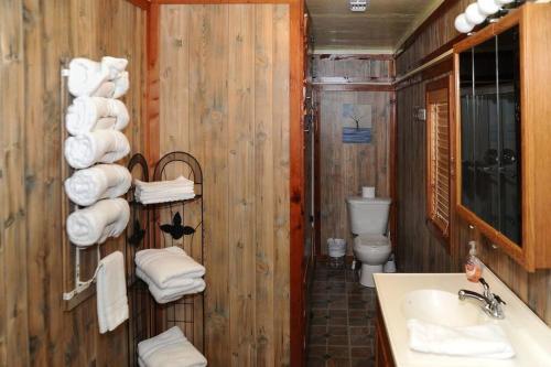 Historic 4 BR Lakefront House with boat house and in Alliance, USA