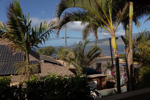 Orchid Suite in South Maui, across from the beach, 1 bedroom sleeps 4