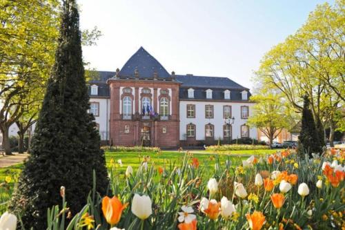 Appartement d'une chambre avec terrasse et wifi a Haguenau