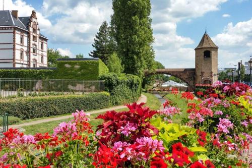 Appartement d'une chambre avec terrasse et wifi a Haguenau