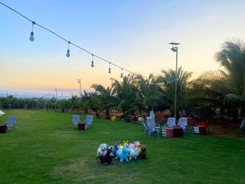 Sài Gòn Bàu Trắng Homestay & Camping - 정원