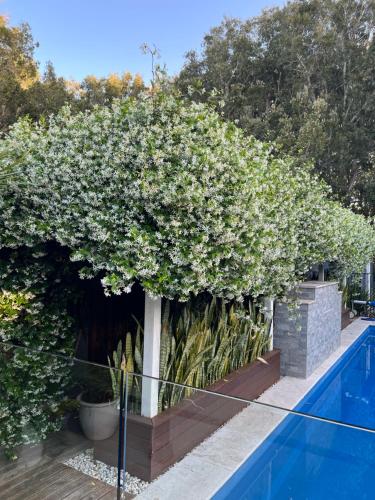 Luxury Stay with Private Heated Pool in Salamander Bay