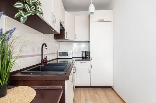 Jonagold Studio with AC Metro Raclawicka, Varšava (fotografie 3)