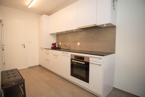 Modern apartment in Basel with free BaselCard, Basel (Foto 8)
