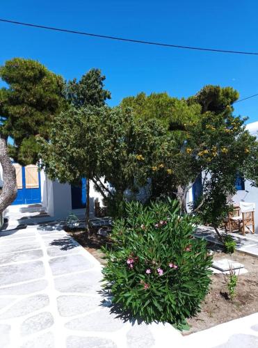 Old Mykonos - Chambre d'hôtes - Drafaki