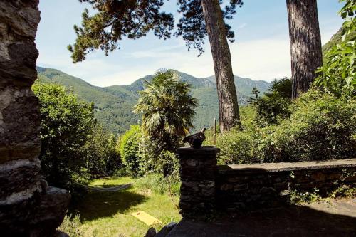 Wild Valley Secret Garden in Valle Onsernone in Isorno