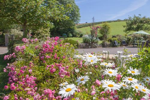 Surrounding environment, Lanjew Park in Withiel