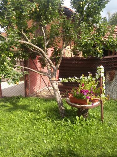 Guest House AHP - image 3
