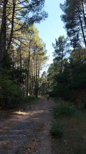 Appartement Le Nid des hirondelles tout confort au cœur de la nature dans un véritable Mas Cévenol (Appartement Le Nid des hirondelles tout confort au cœur de la nature dans un veritable Mas Cevenol) in Generargues