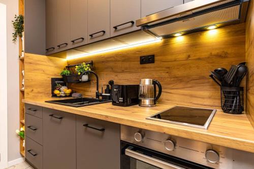 Apollo Apartment close to Medical University in Plovdiv Western District