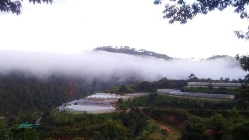 Tuyên Chiến Home & Resort