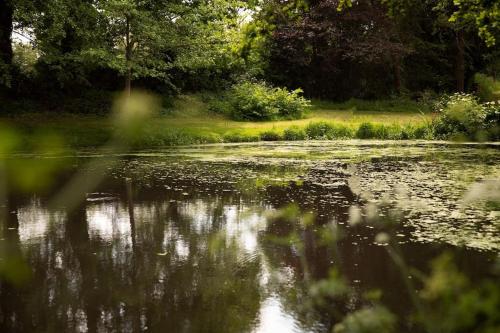 Gîte 4 pers le Saule Bleu - Location saisonnière - Saint-Avaugourd-des-Landes