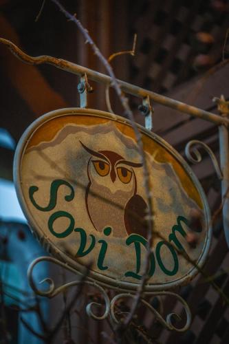 Soví Dom - Owl House