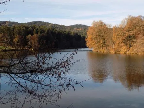 Ferienwohnung Waldblick FEWO 502 in Freudensee, Deutschland