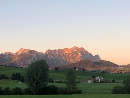 Ferienwohnung mit Aussicht