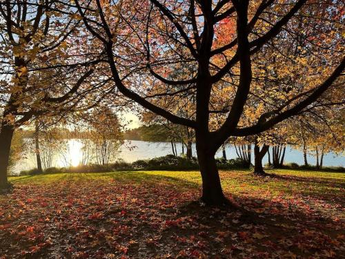 Romantic Royal Windsor, Windsor (fotografie 8)