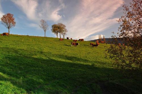 Ferienwohnungen Hansmartihof