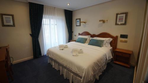 HOTEL RIAZA in Riaza