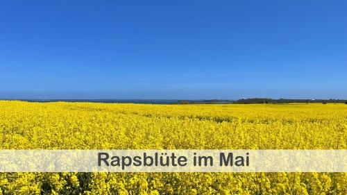Apkārtne, Fewo Anker im Gutshaus Hohen Wieschendorf, Entschleunigung pur für erholsame Tage (Fewo Anker im Gutshaus Hohen Wieschendorf, Entschleunigung pur fur erholsame Tage) in Hohen Wieschendorf