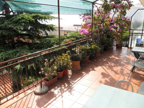 Apartments Dobrinic - image 7