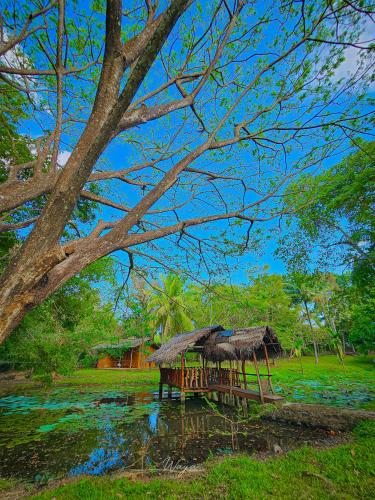 River Edge Safari Cottage