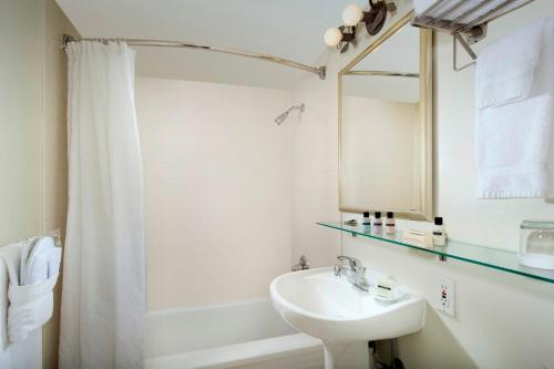 One Bedroom Suite  image 8